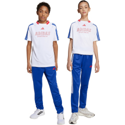 adidas House of Tiro Trainingshose Kinder JW5106 - semi lucid blue/pure ruby/white 128