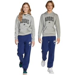 adidas Seasonals Essentials Collegiate Typography...