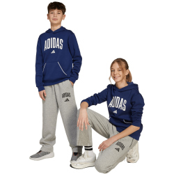 adidas Seasonals Essentials Collegiate Typography Jogginghose Kinder JW2386 - medium grey heather/black 164