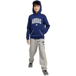 adidas Seasonals Essentials Collegiate Typography Jogginghose Kinder JW2386 - medium grey heather/black 164