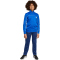 adidas Tricot Colourpop Trainingsanzug Kinder JX0204 - team royal blue/white 140