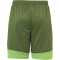 Kempa Emotion 2.0 Shorts dragon grün/hope grün S