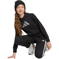 adidas Glam Graphic Hoodie Mädchen JV5267 - black 134