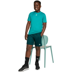 adidas Train Essentials Logo Regular Fit Trainingsshirt...