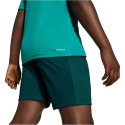 adidas Train Essentials Logo Regular Fit Trainingsshirt...