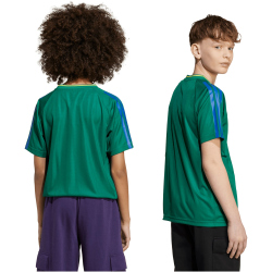 adidas House of Tiro T-Shirt Kinder KB5580 - bold green 128
