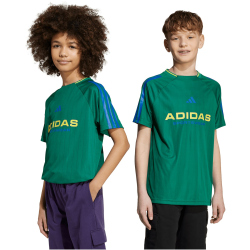 adidas House of Tiro T-Shirt Kinder KB5580 - bold green 128
