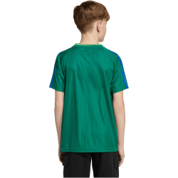 adidas House of Tiro T-Shirt Kinder KB5580 - bold green 128