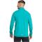 adidas TERREX Xperior 1/2-Zip Sweatshirt Herren