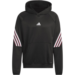 adidas Crazy Warm Fleece Hoodie Herren
