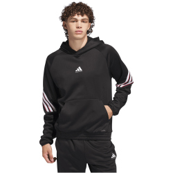adidas Crazy Warm Fleece Hoodie Herren