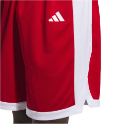 adidas Pulse Speed Basketballshorts Herren
