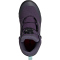 adidas TERREX Winter Boa Rain.Rdy Mid-Top Wanderschuhe Kinder JS2970 - aurora plum/matte silver/core black 29