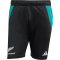 adidas Neuseeland All Blacks Gym Trainingsshorts Herren JM9638 - all black/pure teal S
