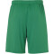 uhlsport Center II Shorts ohne Innenslip grün/weiß 116