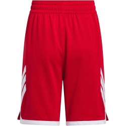 adidas Everyday Pro Basketballshorts Kinder JM5132 - team power red/white 140