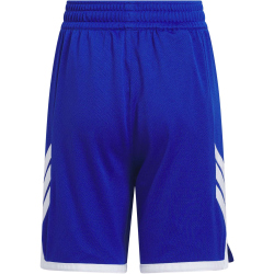 adidas Everyday Pro Basketballshorts Kinder JM5131 - team royal blue/white 128