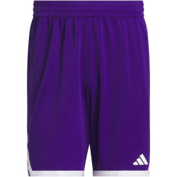 adidas Everyday Pro Basketballshorts Herren KC6968 - team colleg purple/white XS