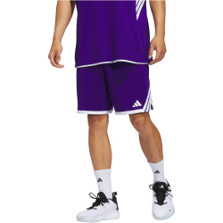 adidas Everyday Pro Basketballshorts Herren KC6968 - team colleg purple/white XS