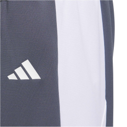 adidas Pulse Speed Basketballshorts Herren JM2669 - team onix/white M