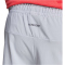 adidas D4T Workout Trainingsshorts Herren JP0924 - halo silver L/7"