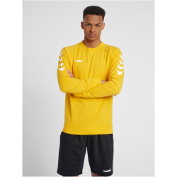 hummel GO Baumwoll Sweatshirt Herren sports yellow S