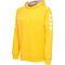hummel GO Baumwoll Hoodie Herren sports yellow XL