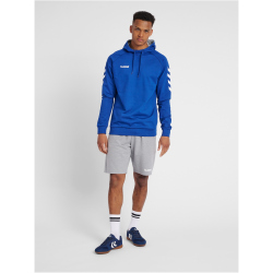 hummel GO Baumwoll Hoodie Herren true blue S