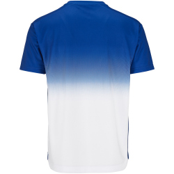 CRAFT Evolve 2.0 Structured Graphic Trainingsshirt Herren