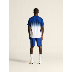 CRAFT Evolve 2.0 Structured Graphic Trainingsshirt Herren
