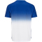 CRAFT Evolve 2.0 Structured Graphic Trainingsshirt Herren