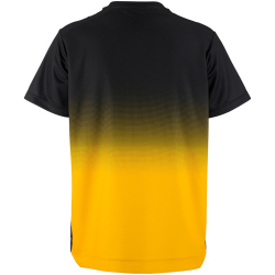 CRAFT Evolve 2.0 Structured Graphic Trainingsshirt Damen...