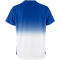 CRAFT Evolve 2.0 Structured Graphic Trainingsshirt Damen 346900 - club cobolt/white XS