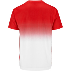 CRAFT Evolve 2.0 Structured Graphic Trainingsshirt Herren...