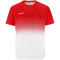 CRAFT Evolve 2.0 Structured Graphic Trainingsshirt Herren 430900 - bright red/white XS
