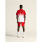 CRAFT Evolve 2.0 Structured Graphic Trainingsshirt Herren 430900 - bright red/white XS