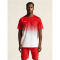 CRAFT Evolve 2.0 Structured Graphic Trainingsshirt Herren 430900 - bright red/white XS