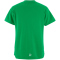 CRAFT Evolve 2.0 Structured Trikot Damen 651000 - team green S