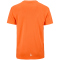 CRAFT Evolve 2.0 Structured Trikot Herren 575000 - pump XS