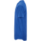 CRAFT Evolve 2.0 Structured Trikot Herren 346000 - club cobolt S