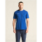 CRAFT Evolve 2.0 Structured Trikot Herren 346000 - club cobolt S