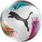 10er Ballpaket PUMA Futsal 2 HS Hallenfußball 01 - PUMA white/garnet rose/dusty aqua 4