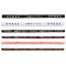 6er Pack PUMA x HYROX Haarbänder 02 - puma black/puma white/ruby shimmer/glowing orange