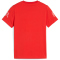 PUMA SFV Schweiz FtblCulture T-Shirt Jungen