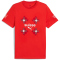 PUMA SFV Schweiz FtblCulture T-Shirt Herren