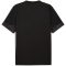 PUMA FC St. Pauli Trainingsshirt 2025/26 Herren