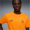 PUMA Galatasaray Istanbul King T-Shirt Herren