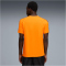 PUMA Galatasaray Istanbul King T-Shirt Herren
