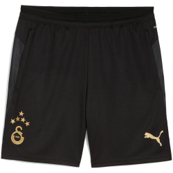 PUMA Galatasaray Istanbul Trainingsshorts Herren