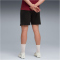 PUMA Galatasaray Istanbul Trainingsshorts Herren